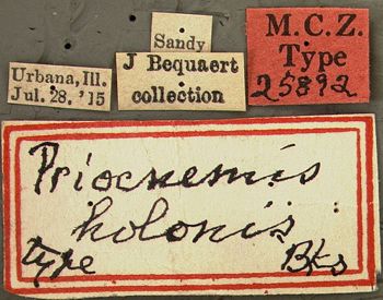 Media type: image;   Entomology 25892 Aspect: labels
